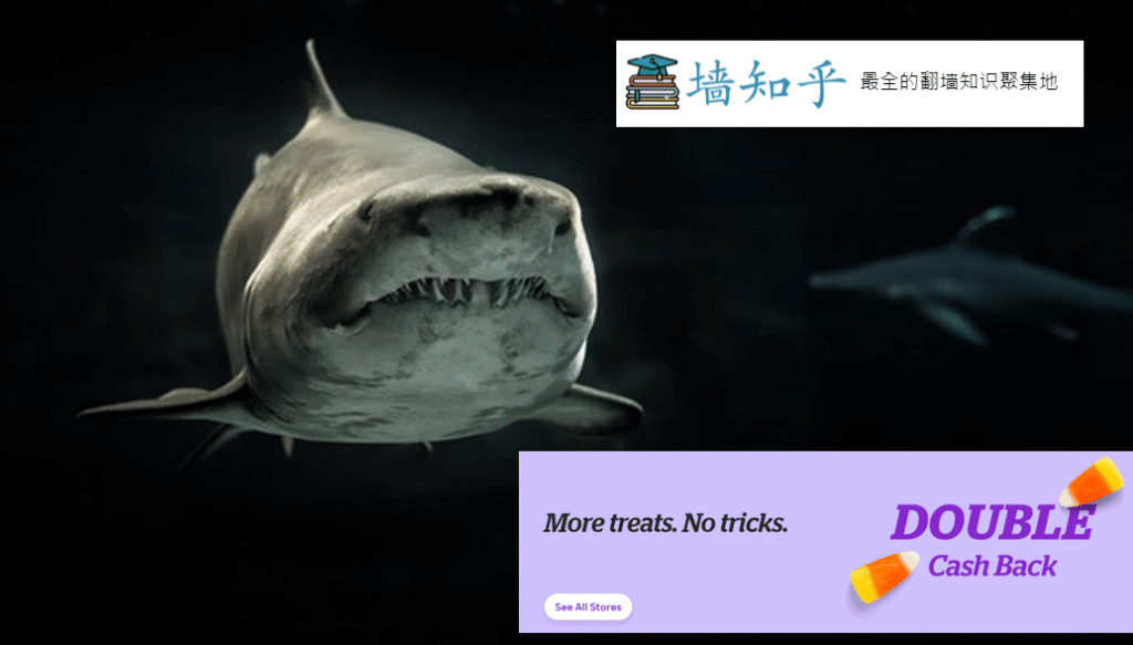 surfshark vpn rakuten