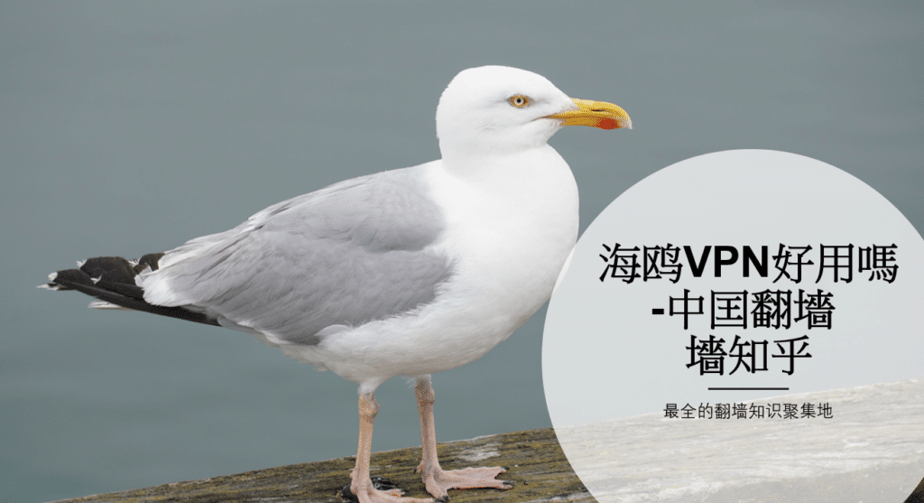 海鷗VPN 封面