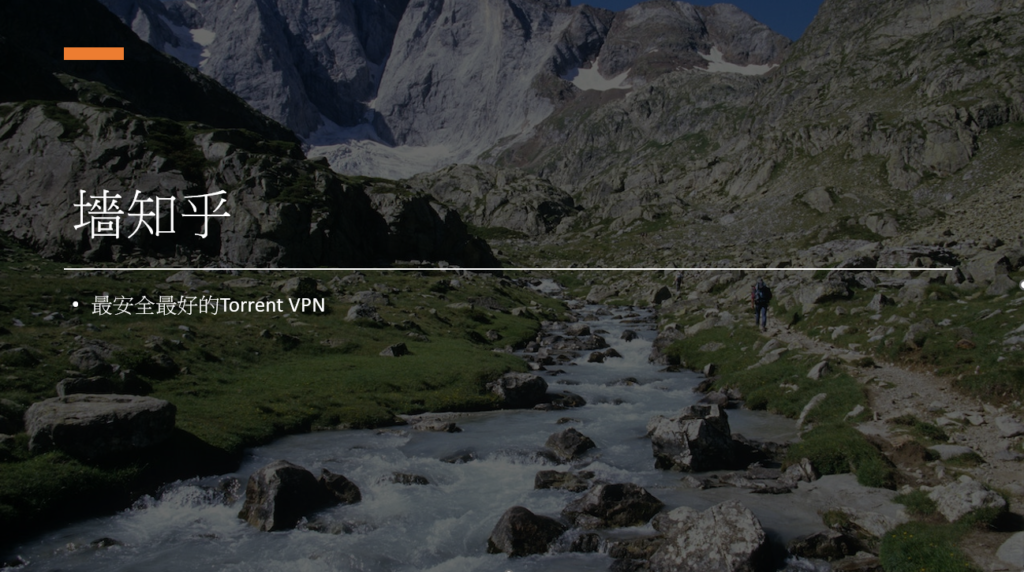 torrent vpn feature
